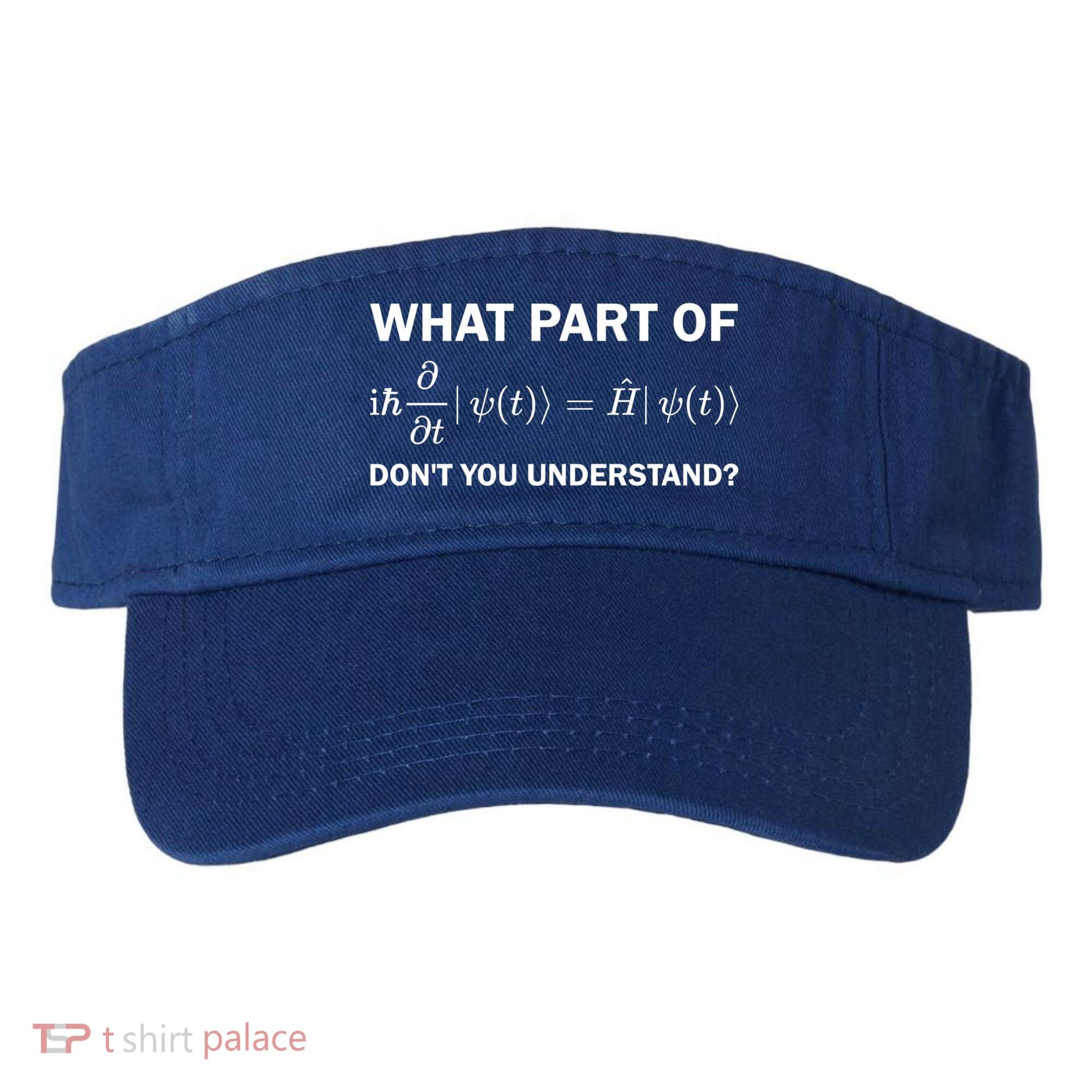 Schrödinger Equation Science Funny Physics Saying Physicist Great Gift Visor