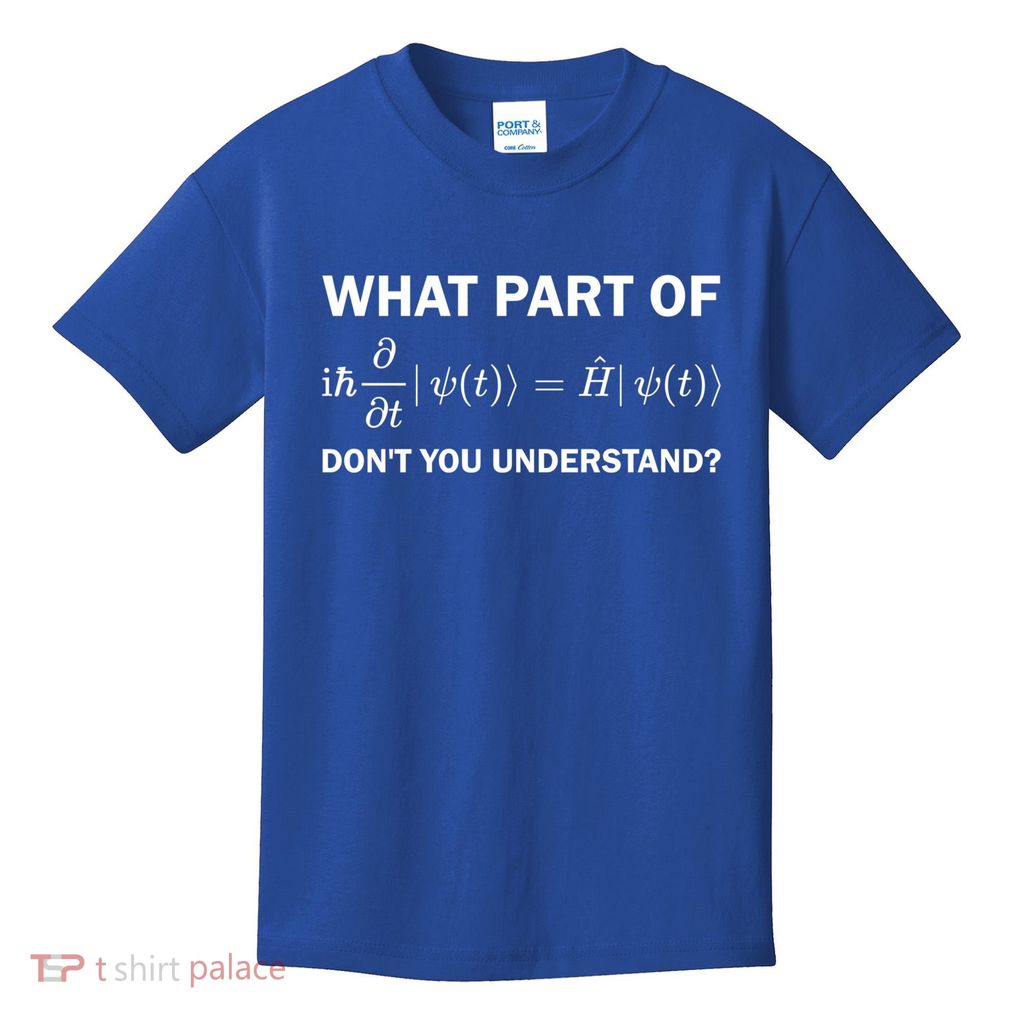 Schrödinger Equation Science Funny Physics Saying Physicist Great Gift Kids T-Shirt