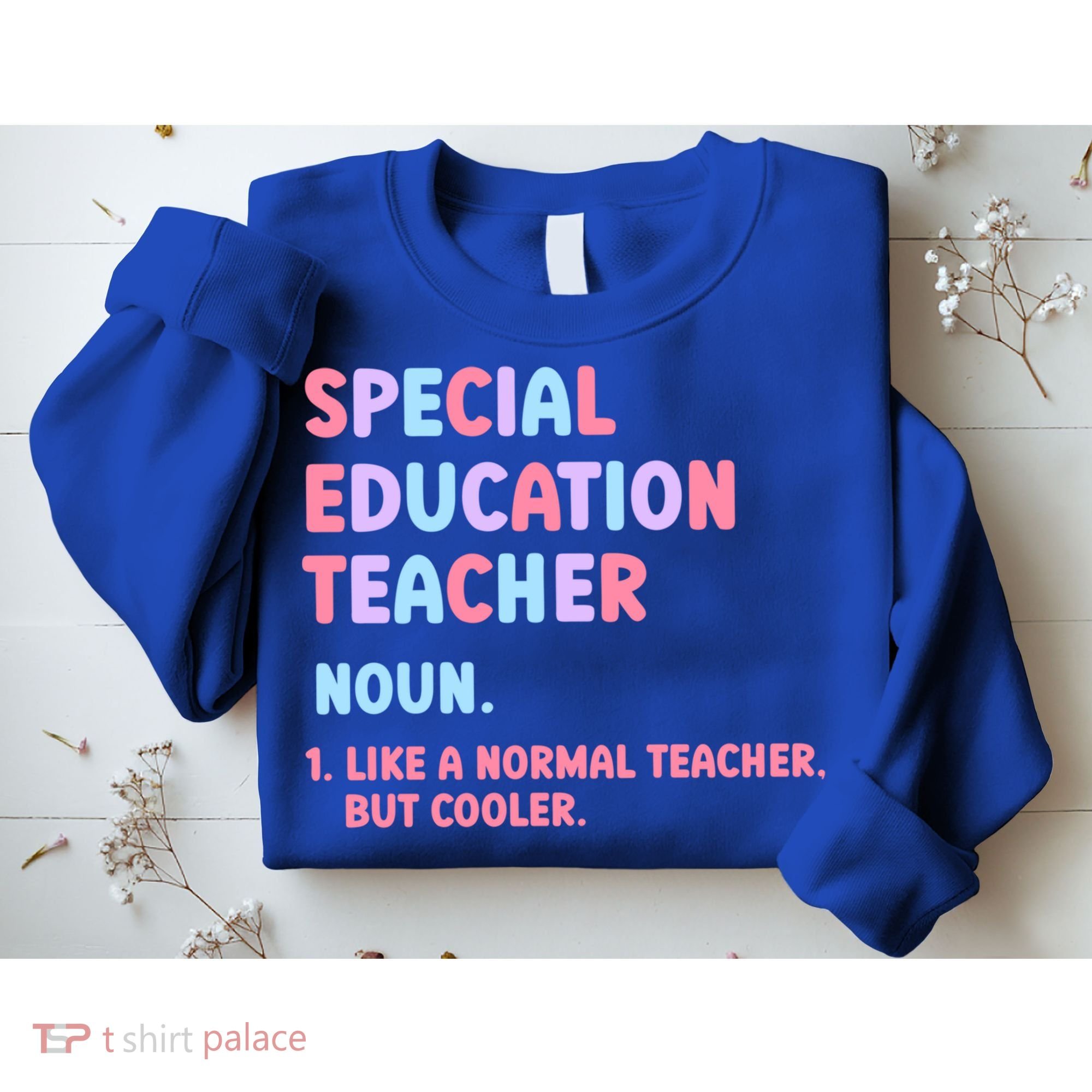 Special Education Teacher Gift Sweatshirt