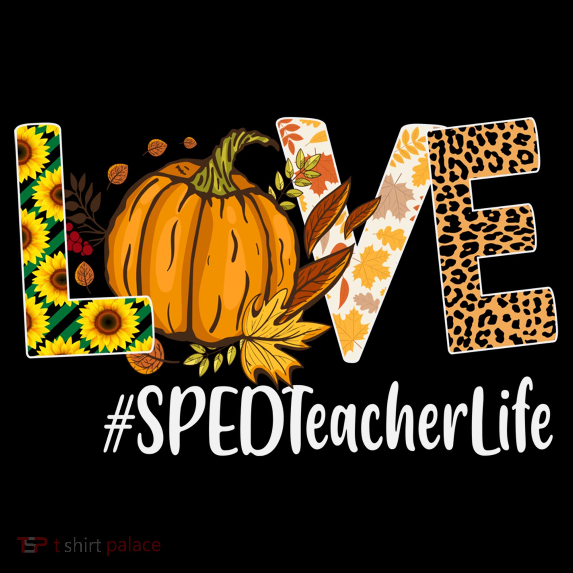 Special Education Teacher Love Fall Leopard Halloween Autumn Gift Coffee Mug