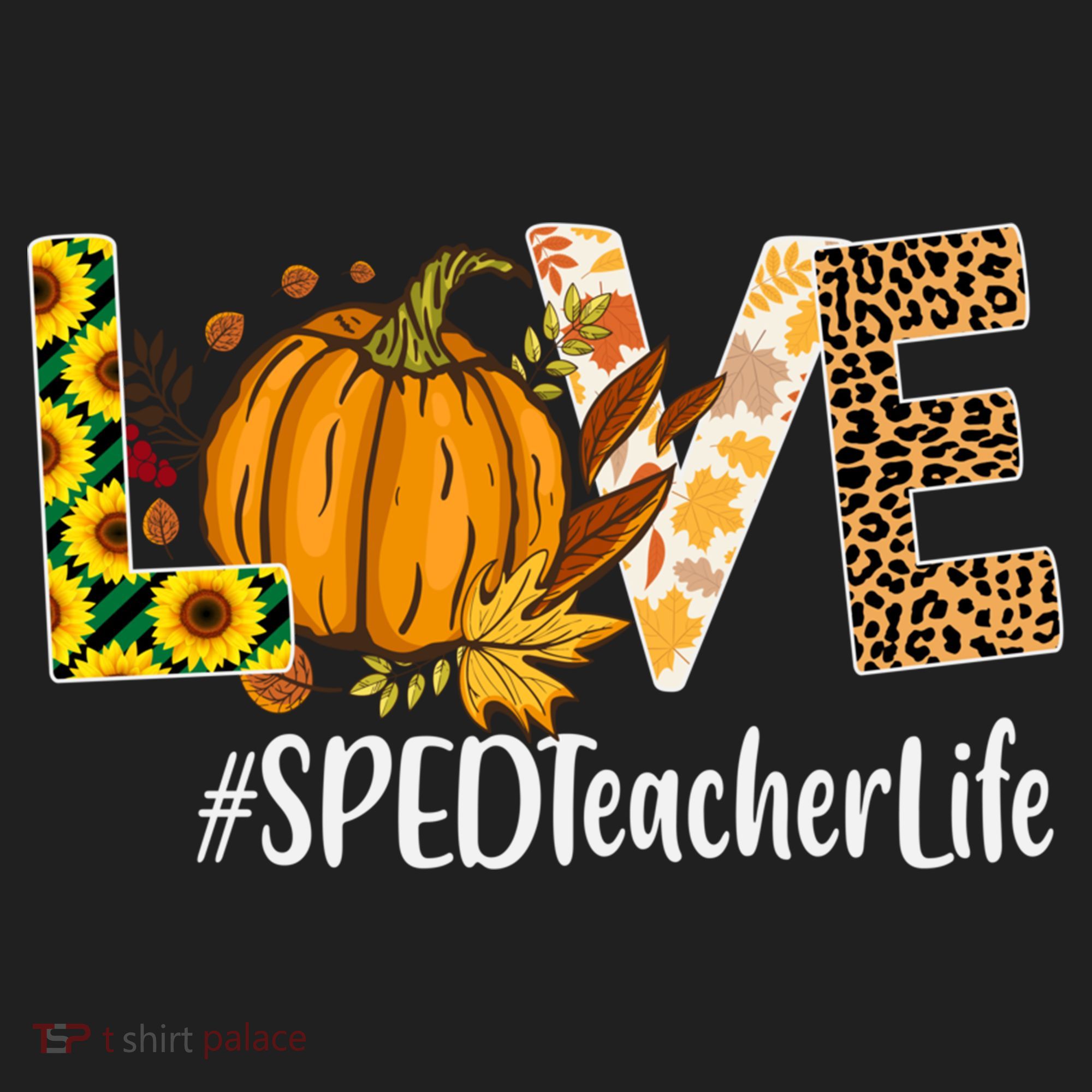 Special Education Teacher Love Fall Leopard Halloween Autumn Gift Beanie