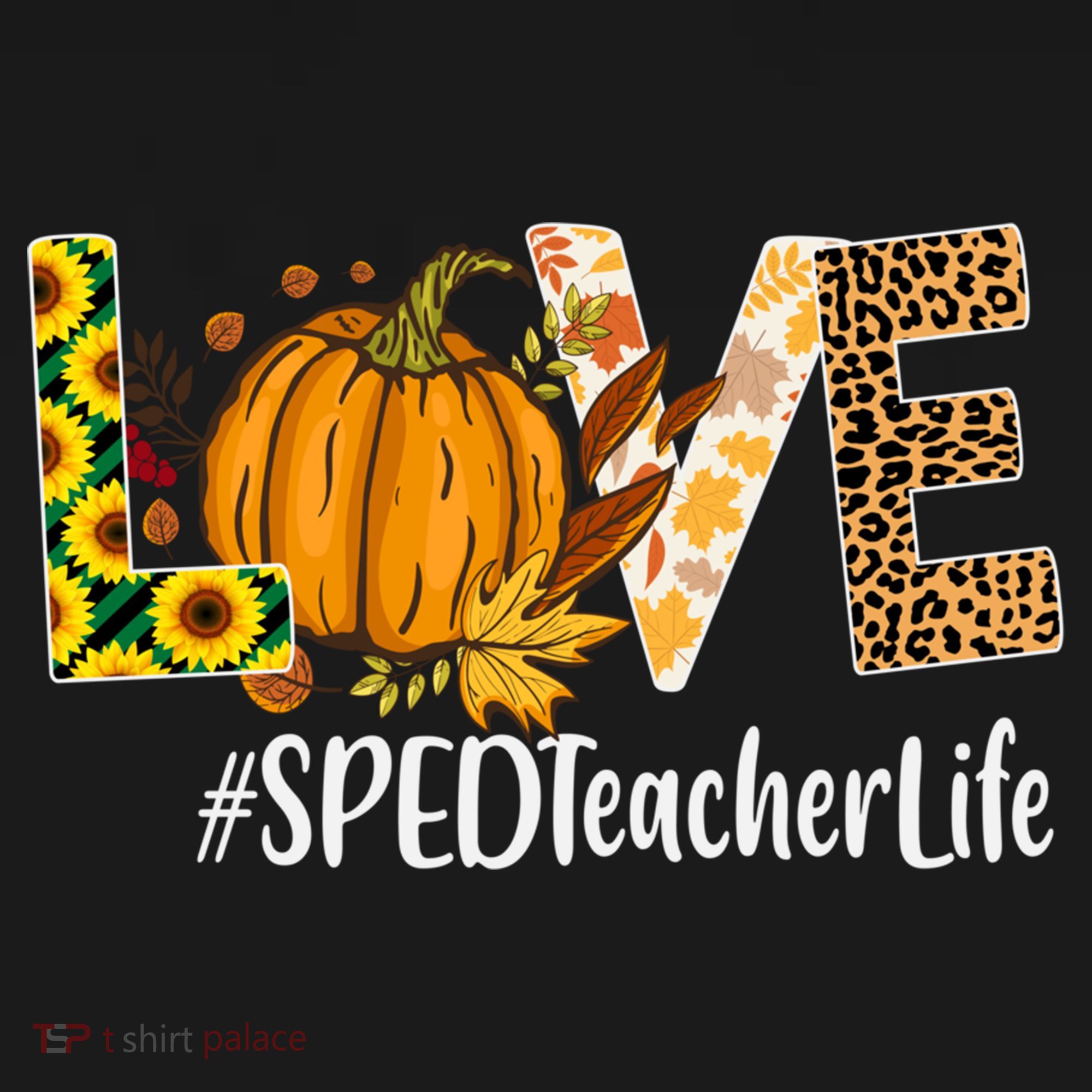 Special Education Teacher Love Fall Leopard Halloween Autumn Gift Ornament