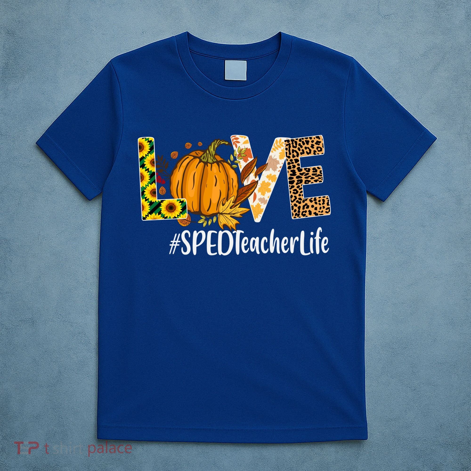 Special Education Teacher Love Fall Leopard Halloween Autumn Gift T-Shirt