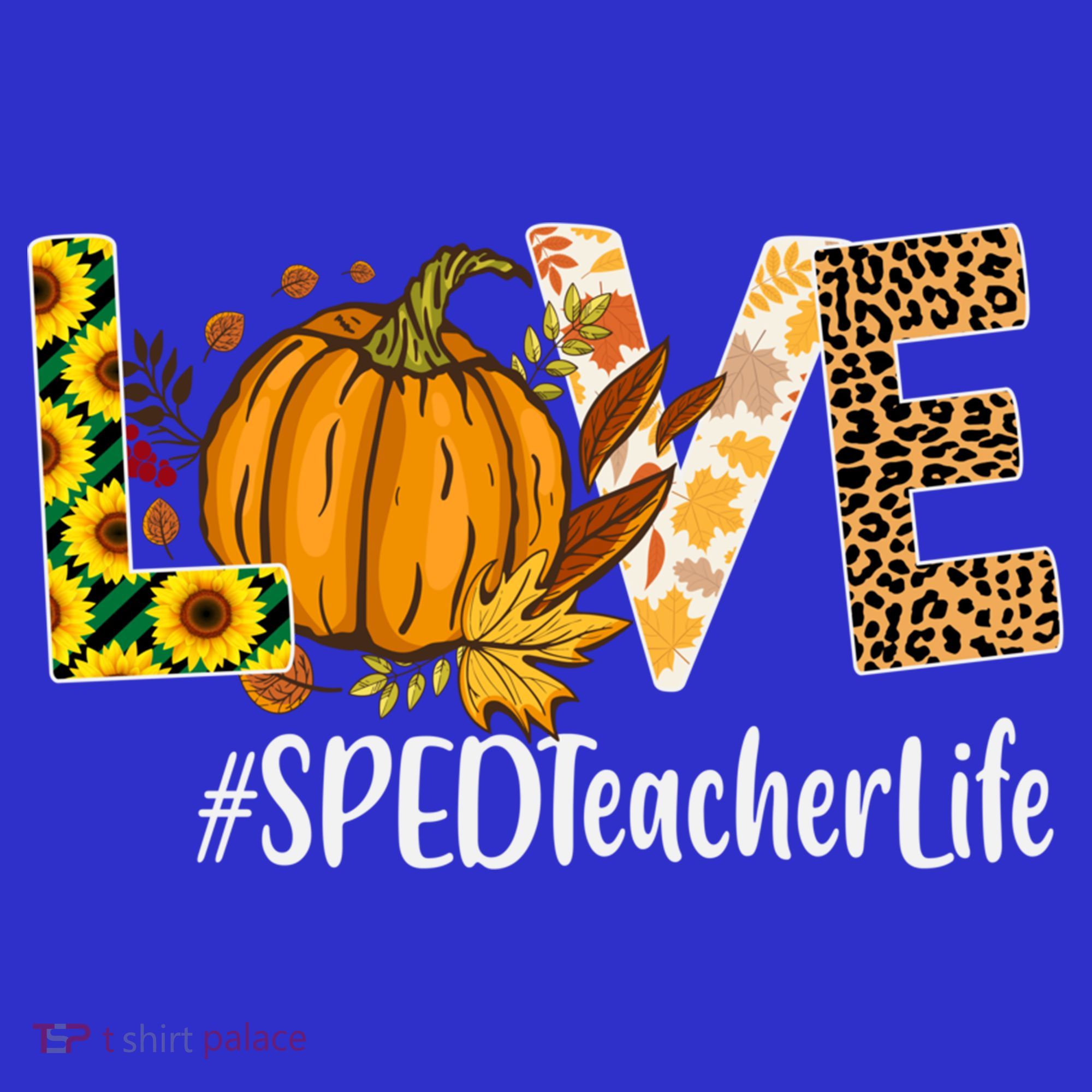 Special Education Teacher Love Fall Leopard Halloween Autumn Gift Coaster