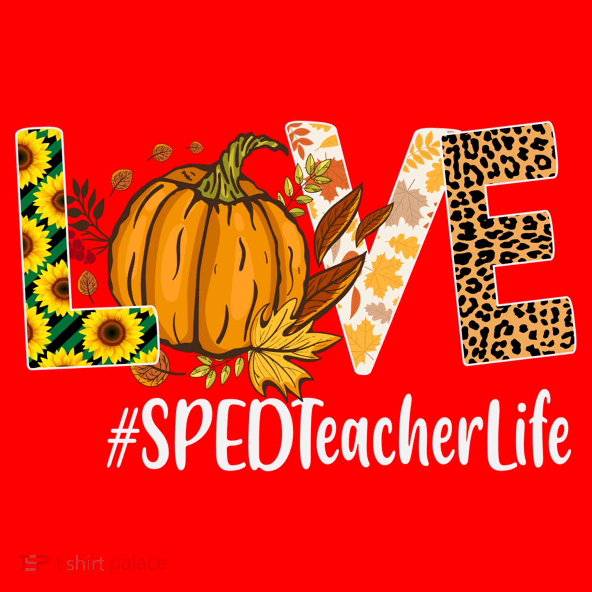 Special Education Teacher Love Fall Leopard Halloween Autumn Gift Santa Hat