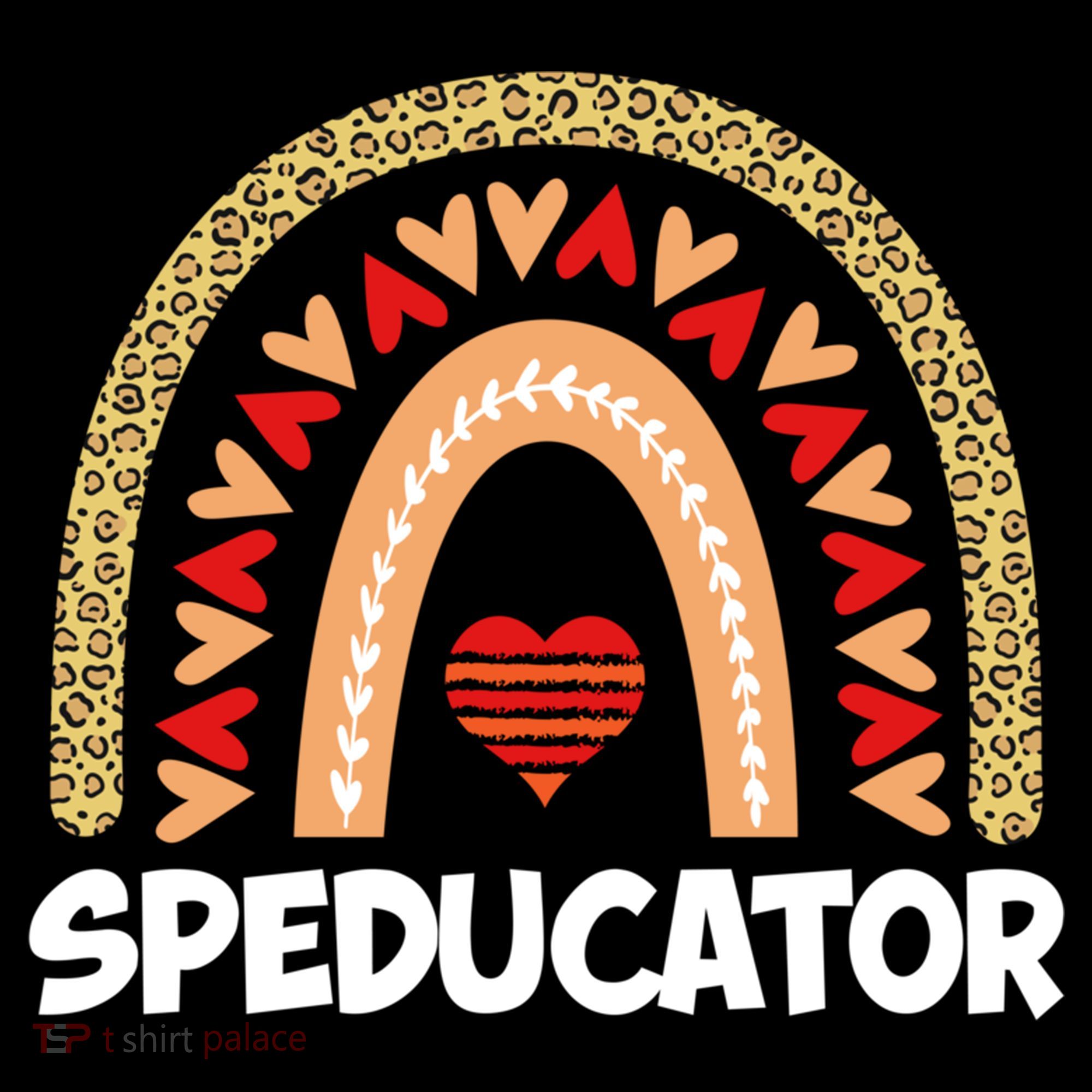 Special Ed Teacher Speducator Leopard Boho Rainbows Hearts Gift Women's Hoodie
