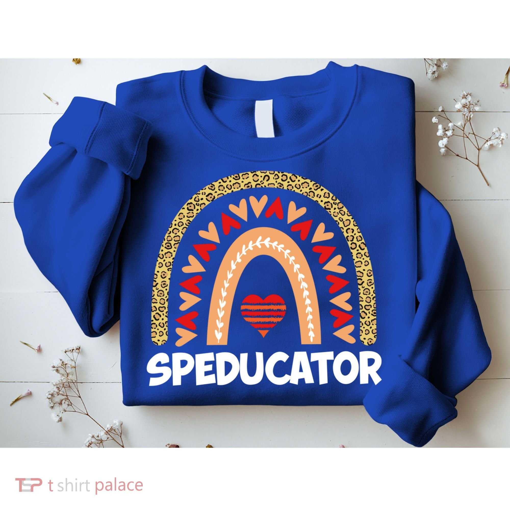 Special Ed Teacher Speducator Leopard Boho Rainbows Hearts Gift Sweatshirt