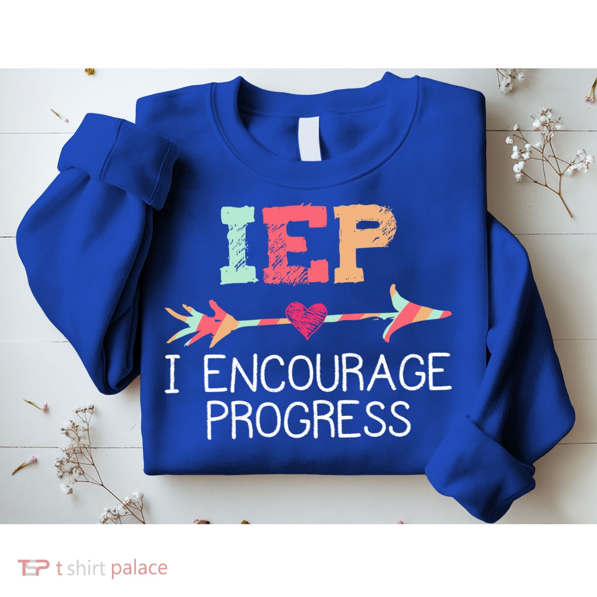 Special Education Teacher Funny Gift Iep I Encourage Progress Gift Sweatshirt