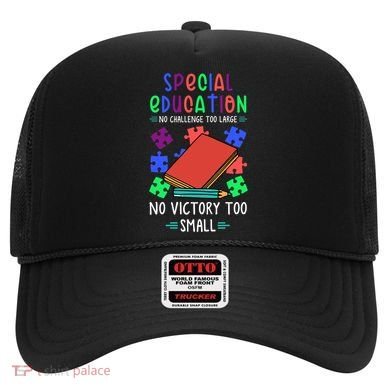 Special Ed Teacher Or Funny Special Education Teacher Funny Gift Hat