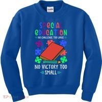 Special Ed Teacher Or Funny Special Education Teacher Funny Gift Kids Sweatshirt thumb 0