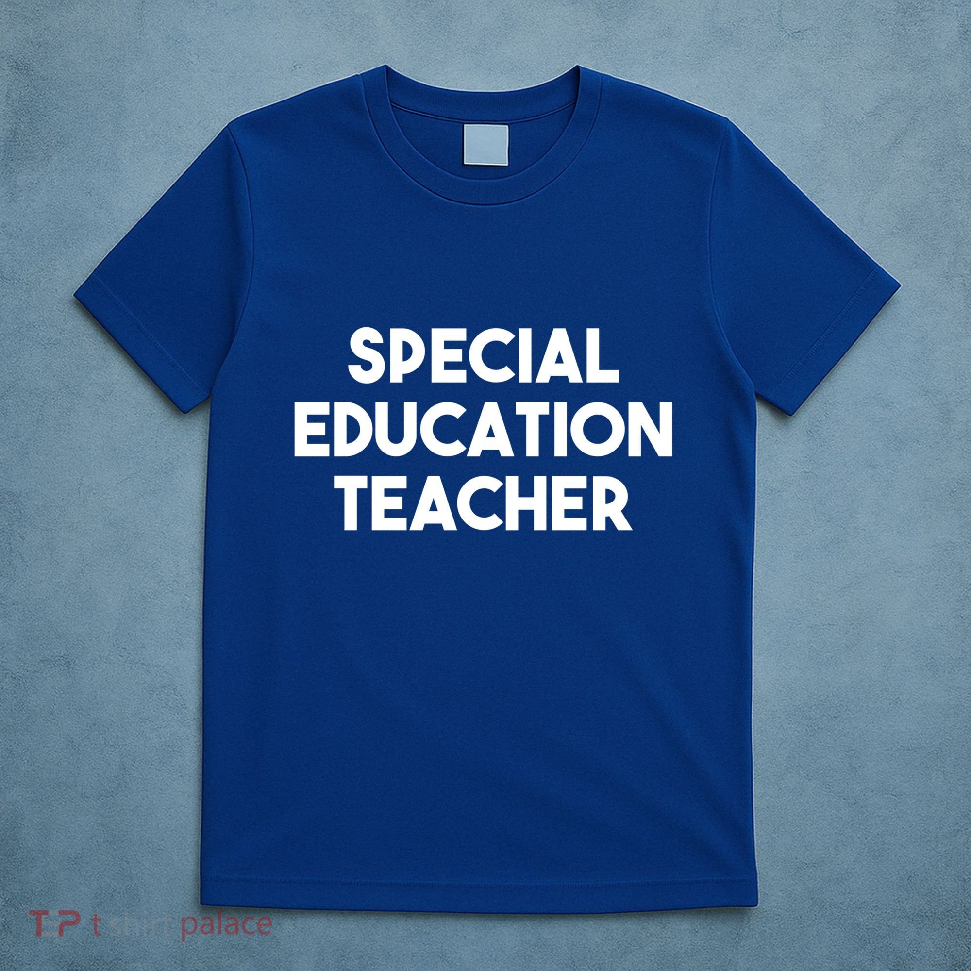 Special Education Teacher Gift T-Shirt