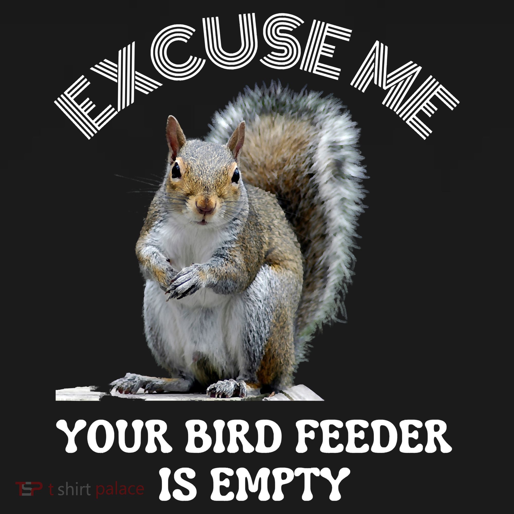 Squirrel Excuse To Me Your Bird Feeder Is Empty Cute Saying Hoodie