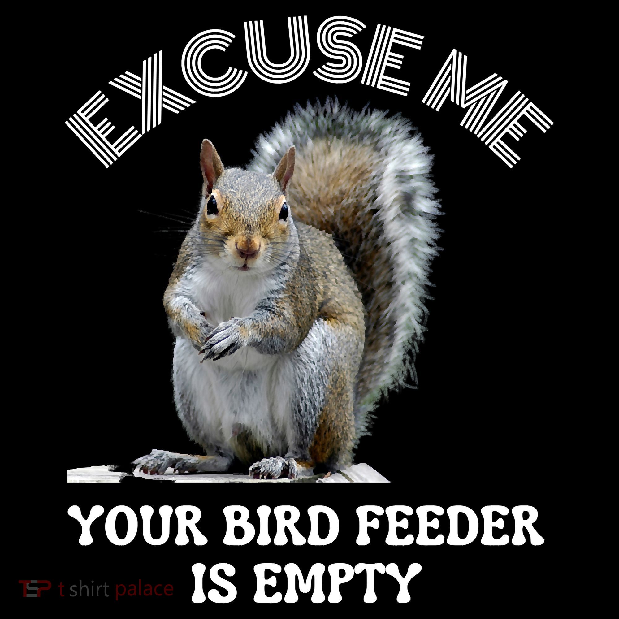 Squirrel Excuse To Me Your Bird Feeder Is Empty Cute Saying Button