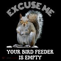 Squirrel Excuse To Me Your Bird Feeder Is Empty Cute Saying Coaster thumb 2