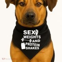 Sex Weights Protein Shakes USA-Made Doggie Bandana thumb 1