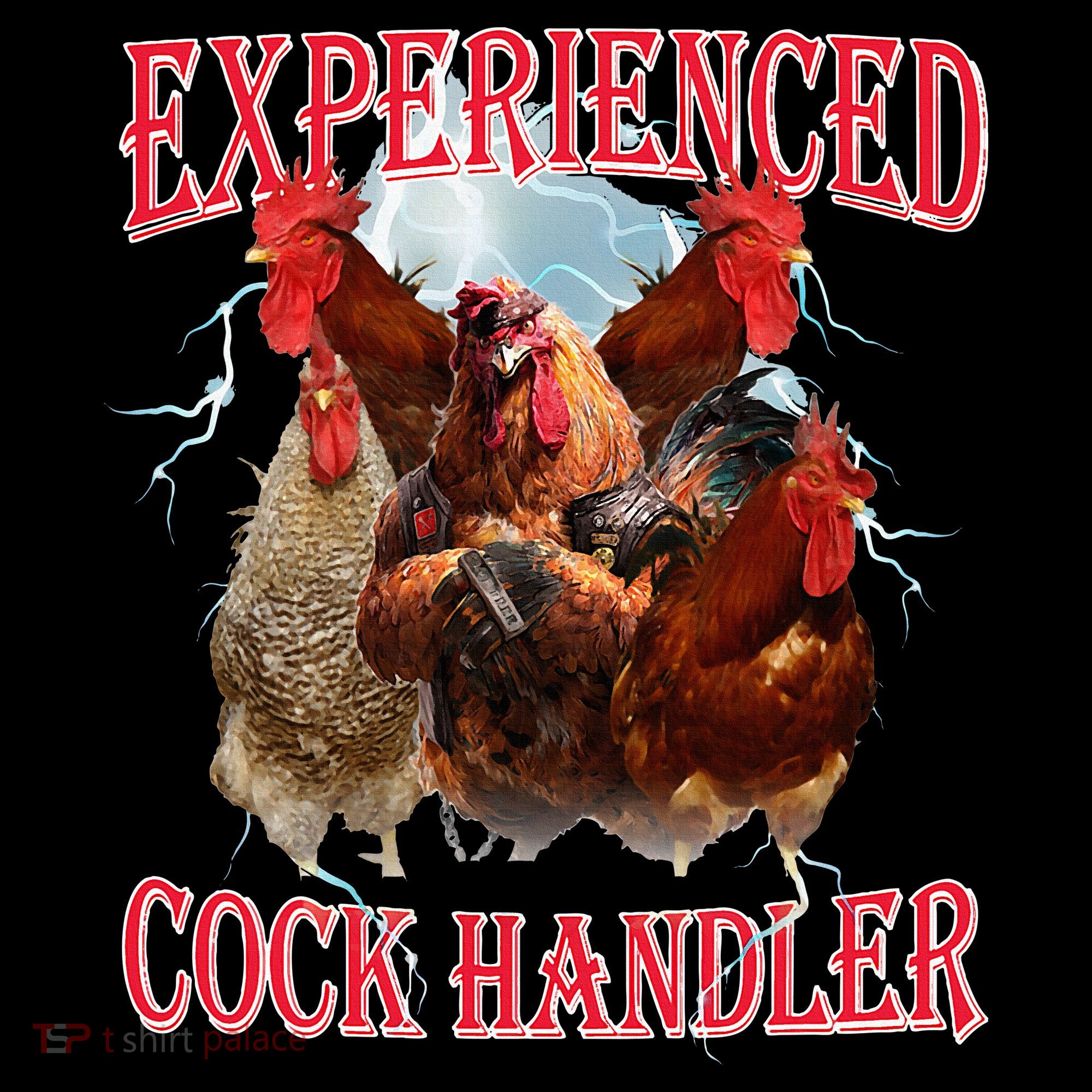 Sayings For Adult Experienced Cock Handler Meme Dank Stripe Pom Pom Beanie