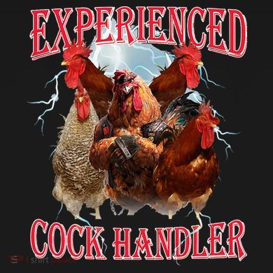 Sayings For Adult Experienced Cock Handler Meme Dank Ornament