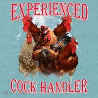 Sayings For Adult Experienced Cock Handler Meme Dank Sueded Cloud Jersey T-Shirt thumb 2