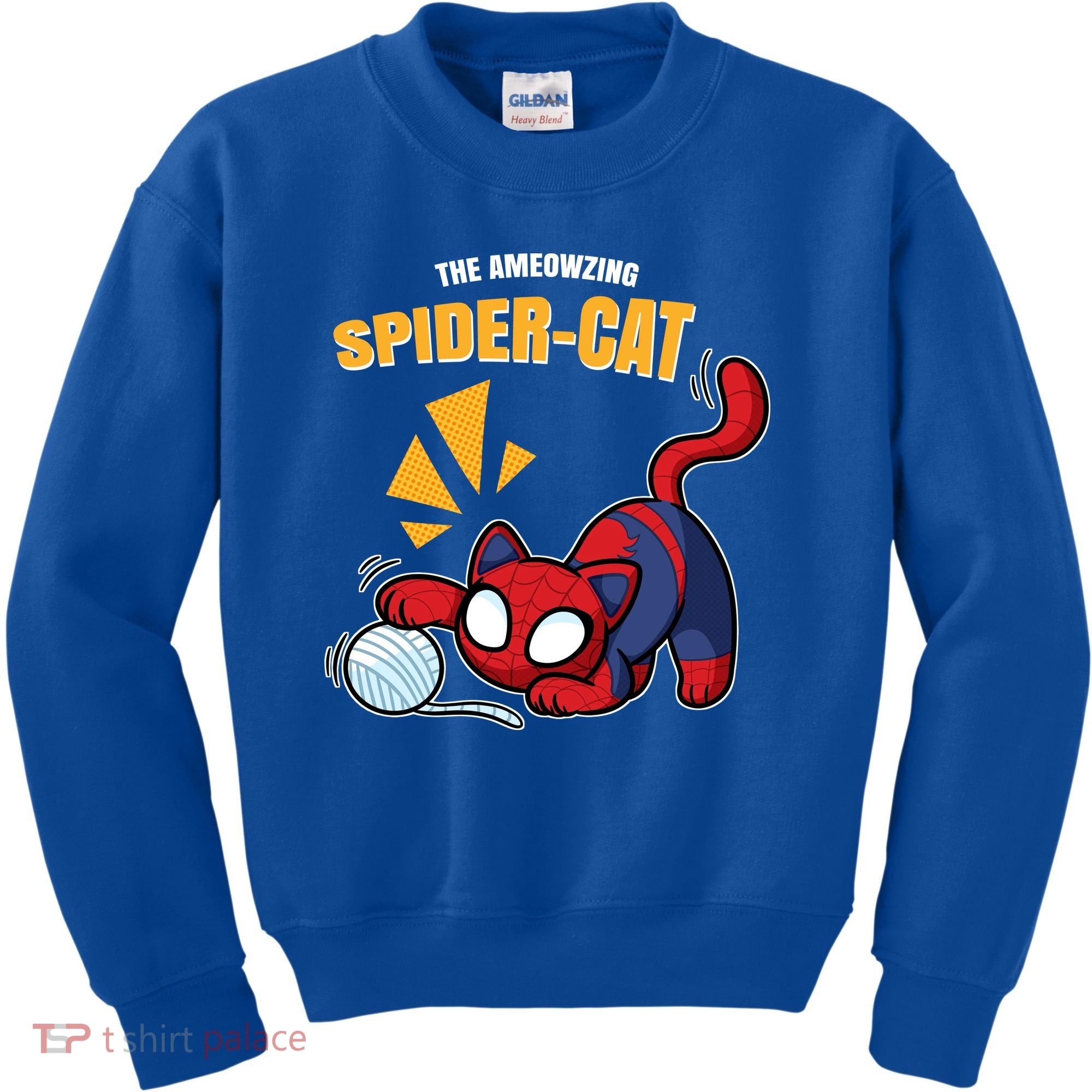 Spider Funny Amazing Spider Cat Meme Kids Sweatshirt