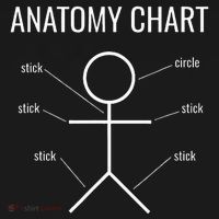 Stick Figure Anatomy Chart Polo thumb 3