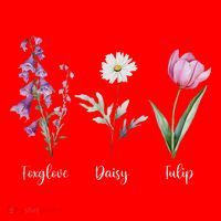 Subtle Floral Anti Trump Flowers Foxglove Daisy Tulip Funny Santa Hat thumb 1