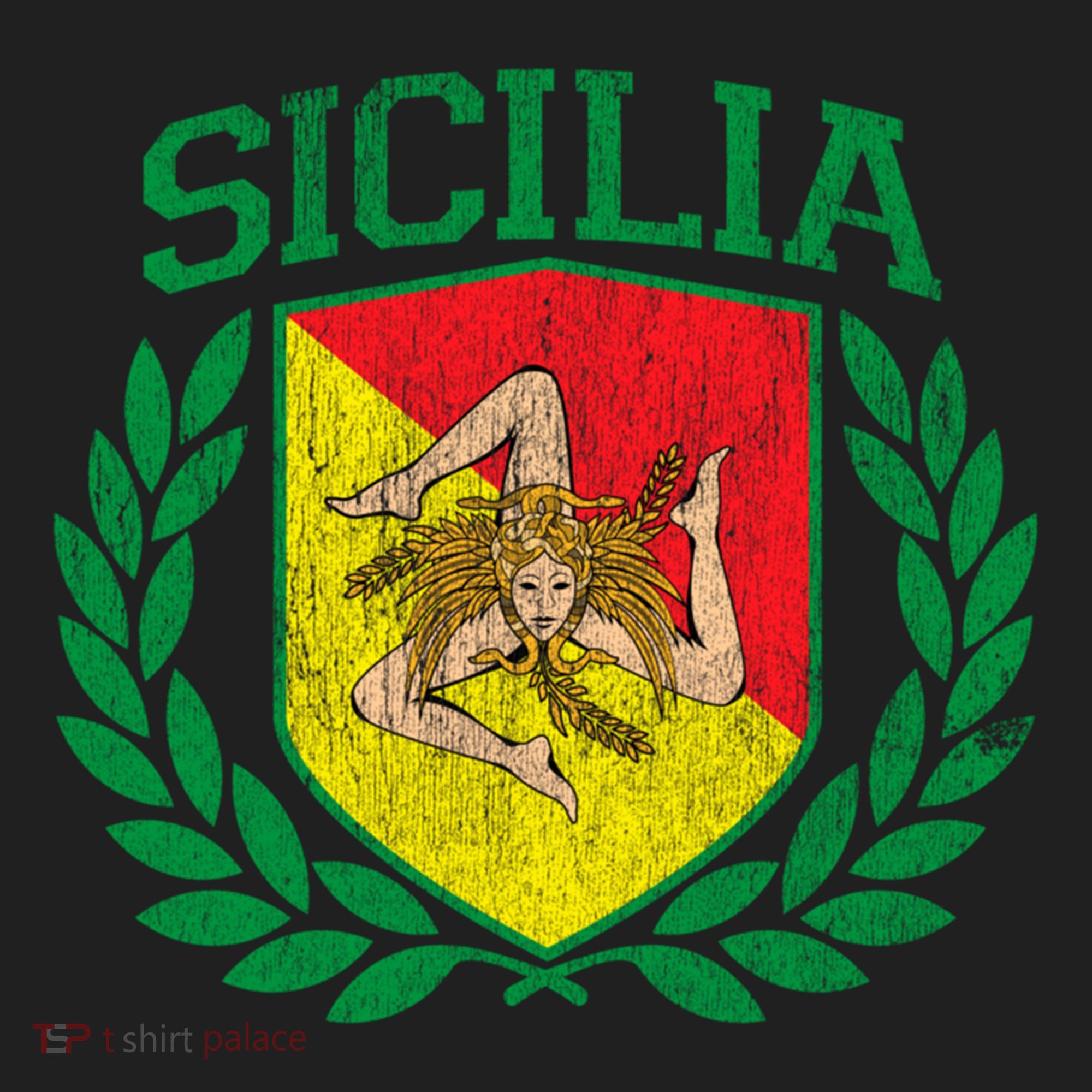 Sicilia Flag And Shield With Trinacria Sicily Gift Beanie