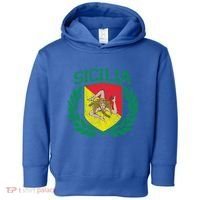 Sicilia Flag And Shield With Trinacria Sicily Gift Toddler Hoodie thumb 0