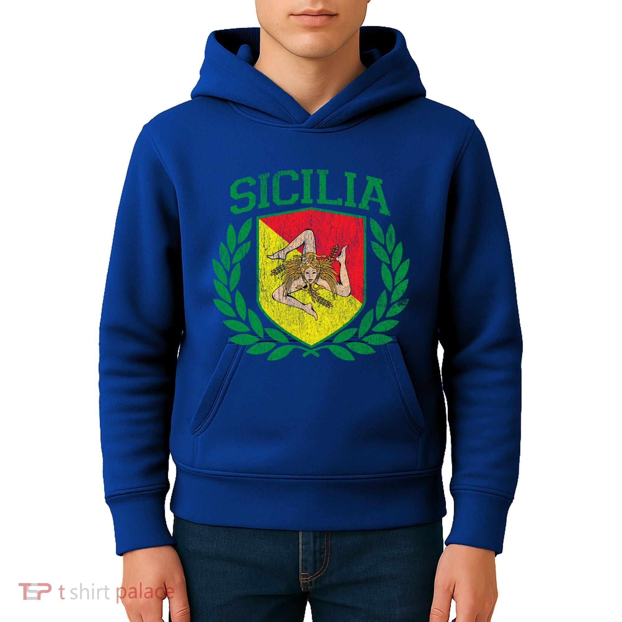 Sicilia Flag And Shield With Trinacria Sicily Gift Kids Hoodie