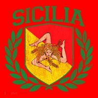 Sicilia Flag And Shield With Trinacria Sicily Gift Santa Hat thumb 1