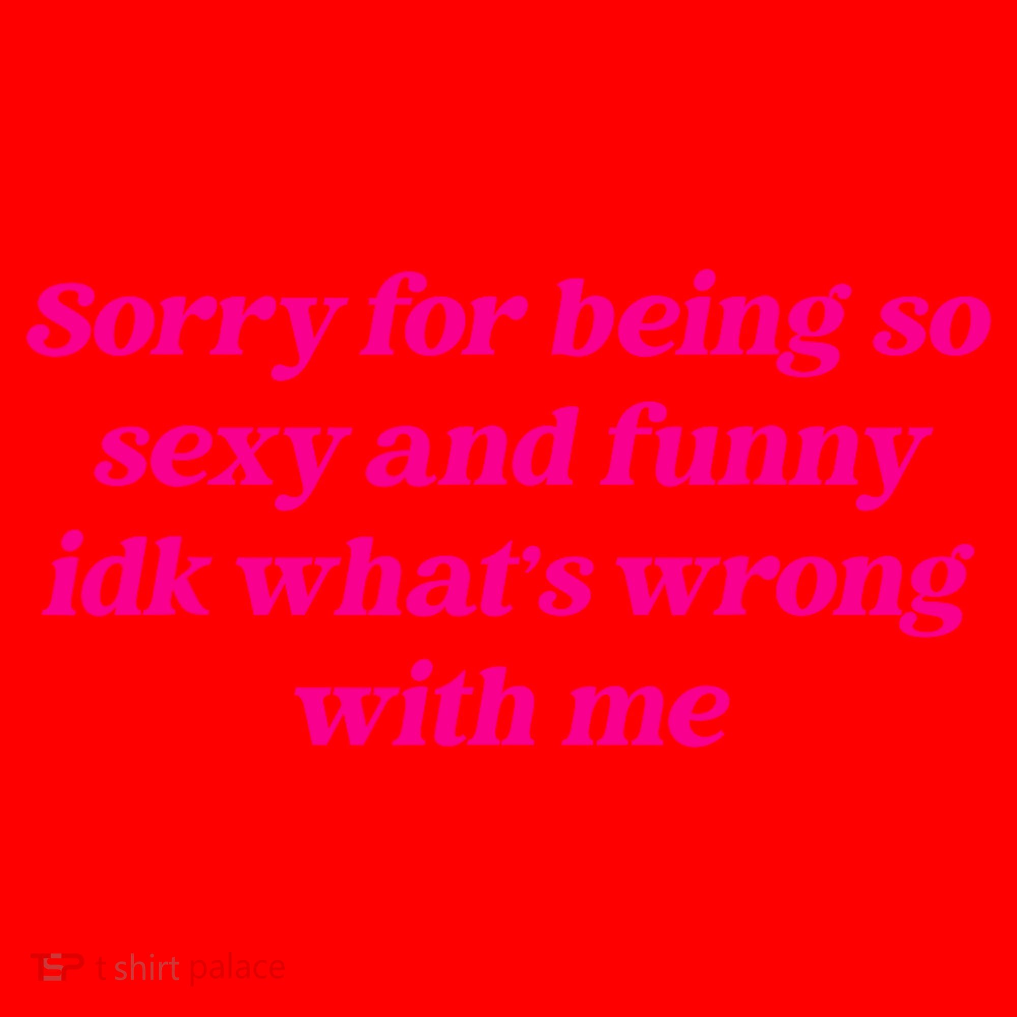 Sorry For Being So Sexy Funny Quote Santa Hat