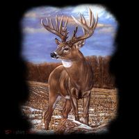 Super Freak Buck Toddler Hoodie thumb 2