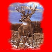 Super Freak Buck Santa Hat thumb 1