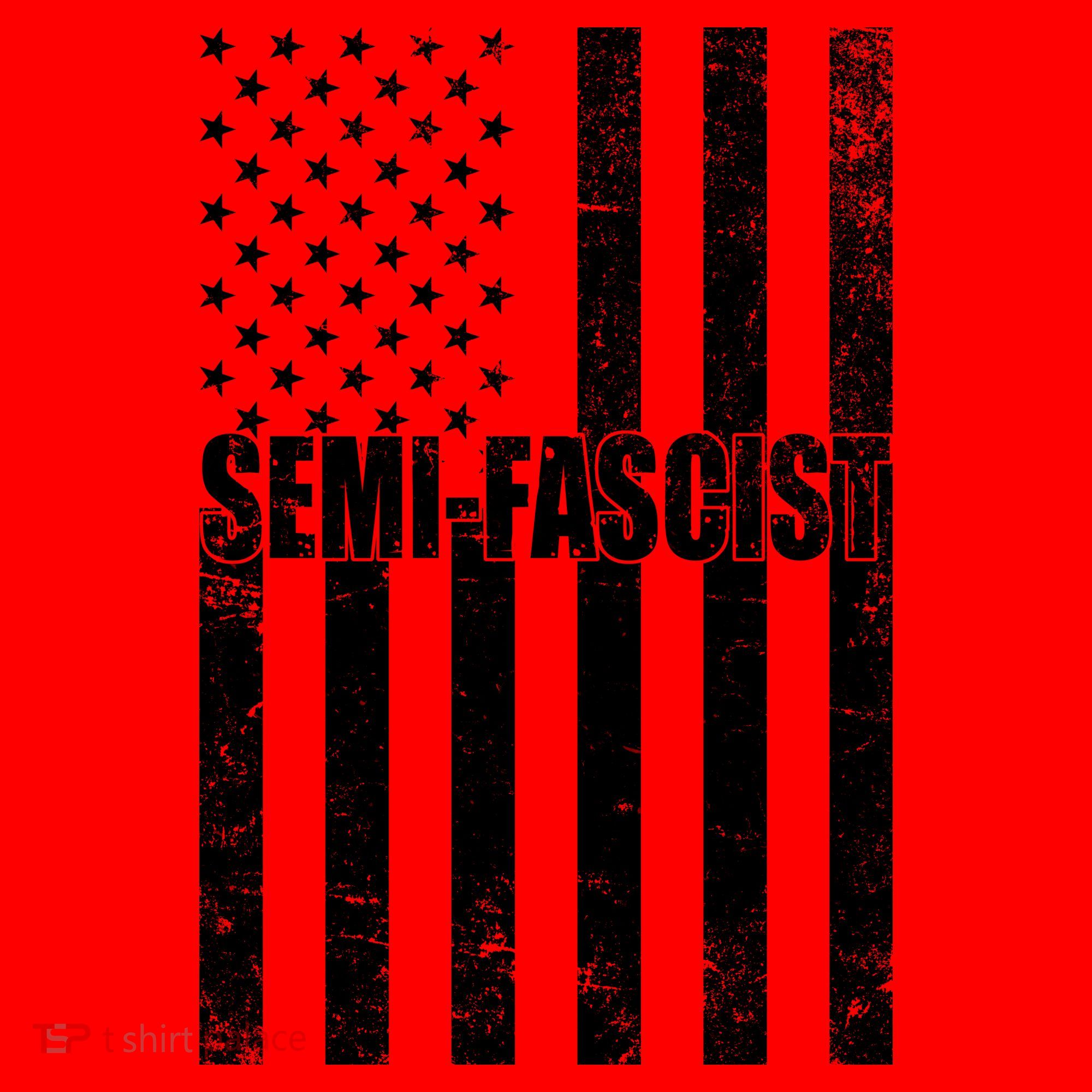 Semi Fascist Distressed USA American Flag Santa Hat
