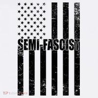 Semi Fascist Distressed USA American Flag Beanie thumb 2