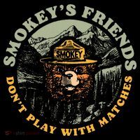 Smokeys Friends Dont Play With Matches Women's Hoodie thumb 2