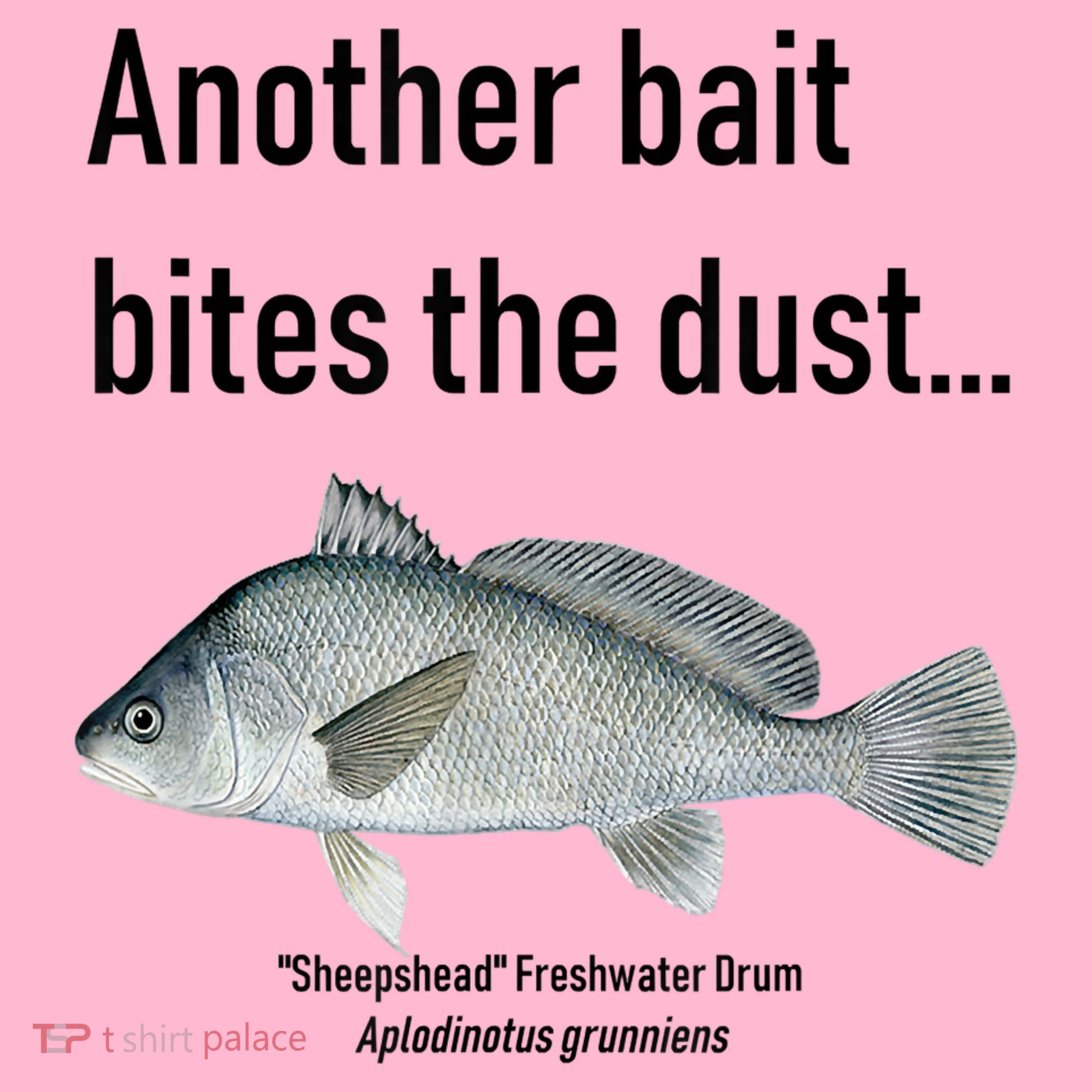 Sheepshead Freshwater Drum Coaster