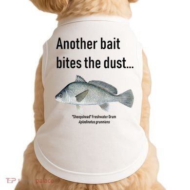 Sheepshead Freshwater Drum Doggie Tank