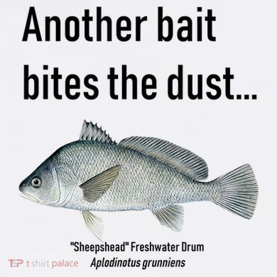 Sheepshead Freshwater Drum Ladies Essential Flowy Tank