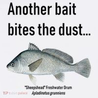 Sheepshead Freshwater Drum Polo thumb 3