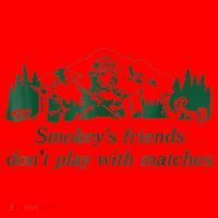 Smokey's Friends Don't Play With Matches Funny Saying Santa Hat thumb 1