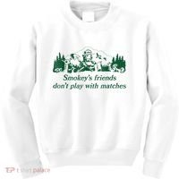 Smokey's Friends Don't Play With Matches Funny Saying Kids Sweatshirt thumb 0