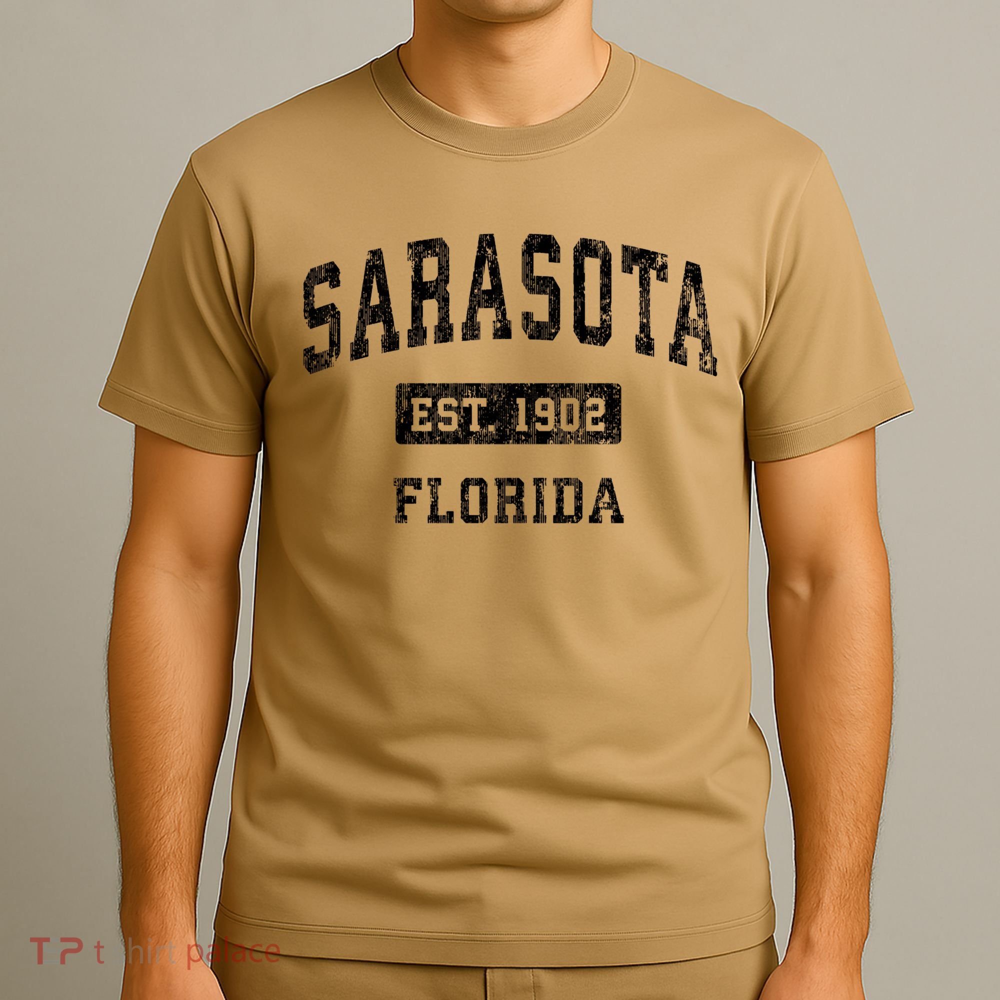 Sarasota Florida Fl Vintage Established T-Shirt