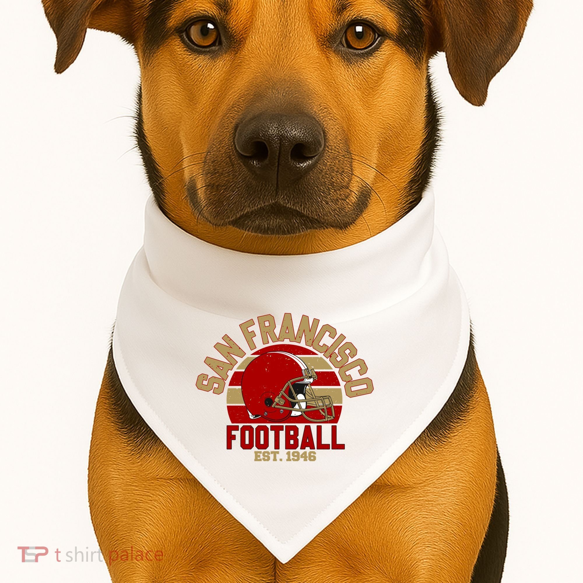 San Francisco Football Est 1946 Team Supporter USA-Made Doggie Bandana