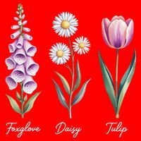 Subtle Floral Flowers Foxglove Daisy Tulip Santa Hat thumb 1