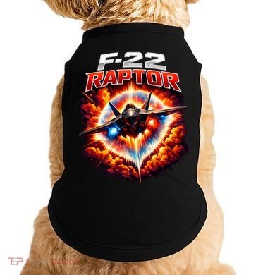 Sonic Fury F-22 Raptor Doggie Tank