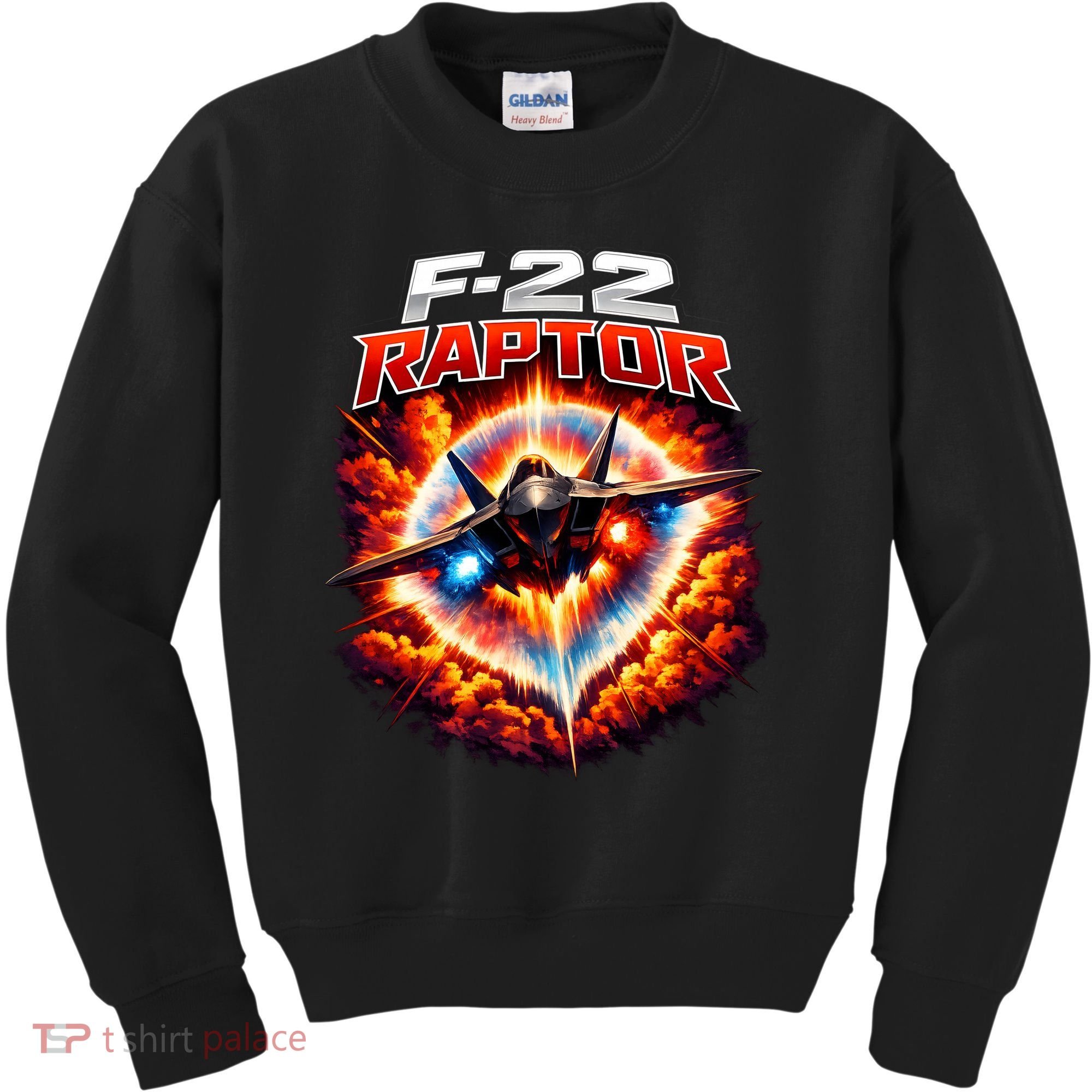 Sonic Fury F-22 Raptor Kids Sweatshirt