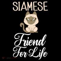 Siamese Friend For Life Siamese Cat Gift Women's Hoodie thumb 2