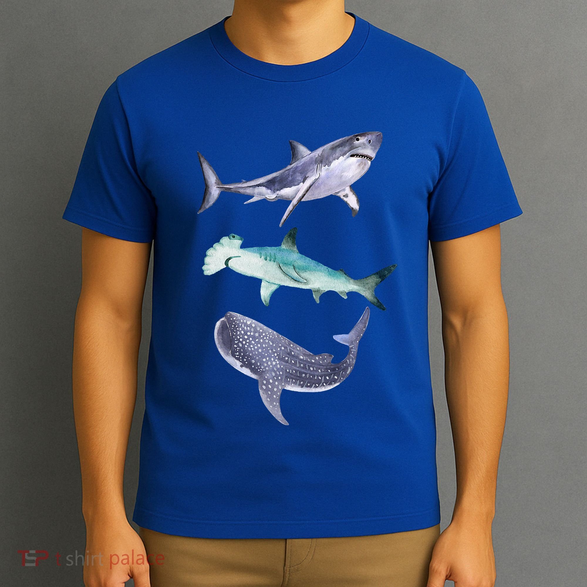 Shark Fans Great White Hammerhead And Whale Shark Lover T-Shirt