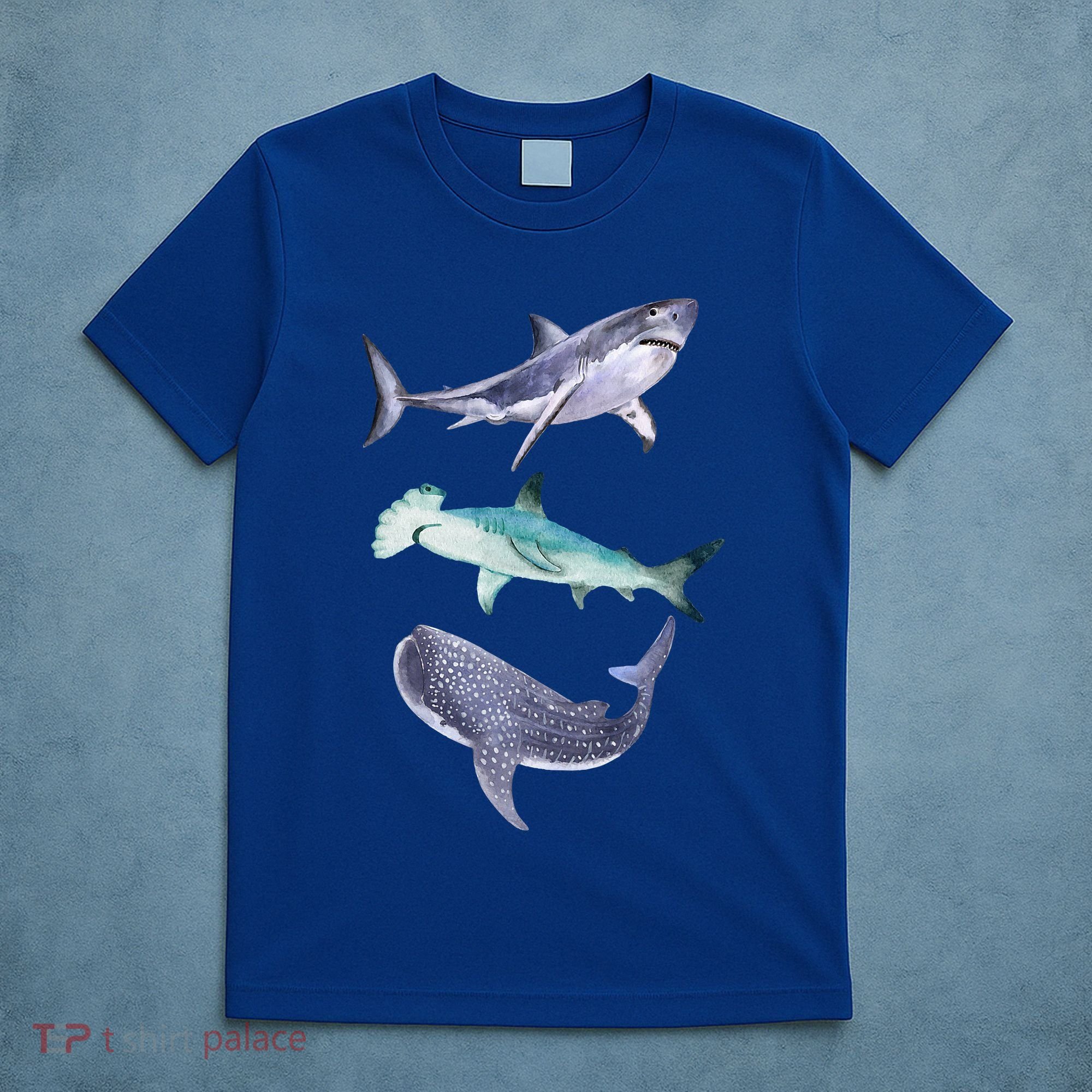 Shark Fans Great White Hammerhead And Whale Shark Lover T-Shirt