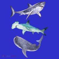 Shark Fans Great White Hammerhead And Whale Shark Lover Polo thumb 2
